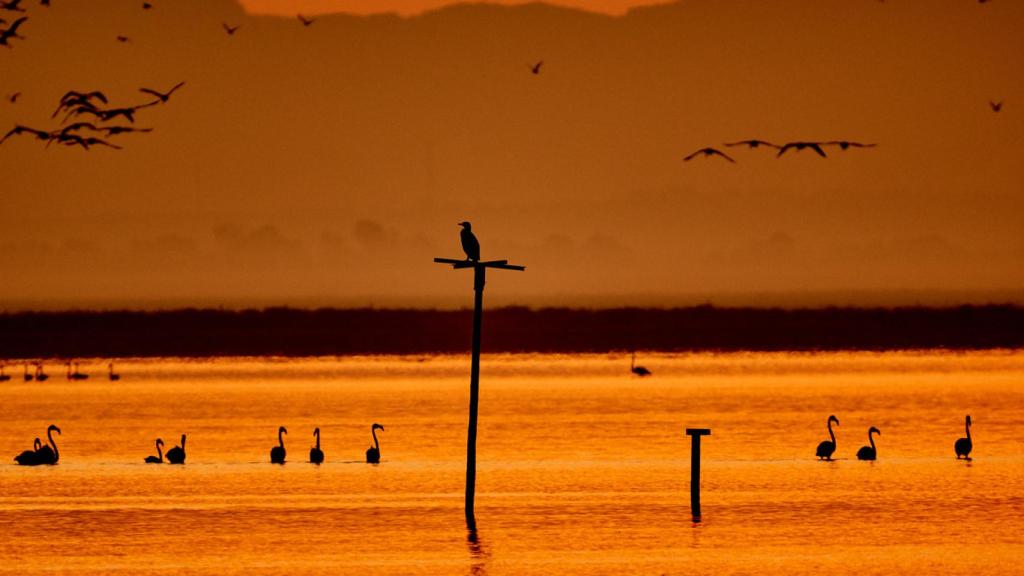 Parque Nacional de Doñana