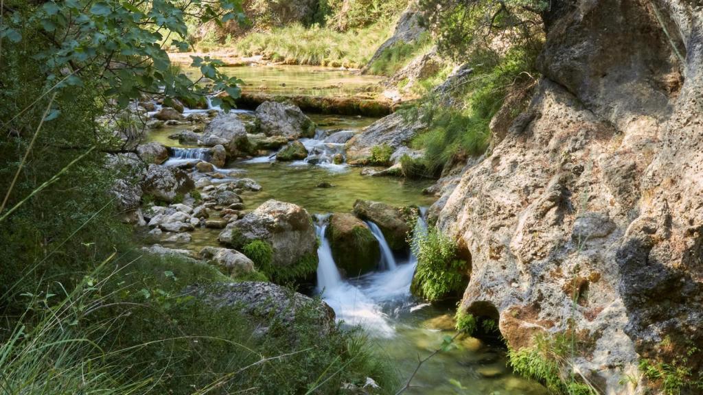 Parque Natural de las Sierras de Cazorla, Segura y Las Villas