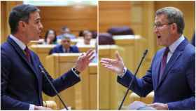 Pedro Sánchez y Feijóo, este martes en el Senado.