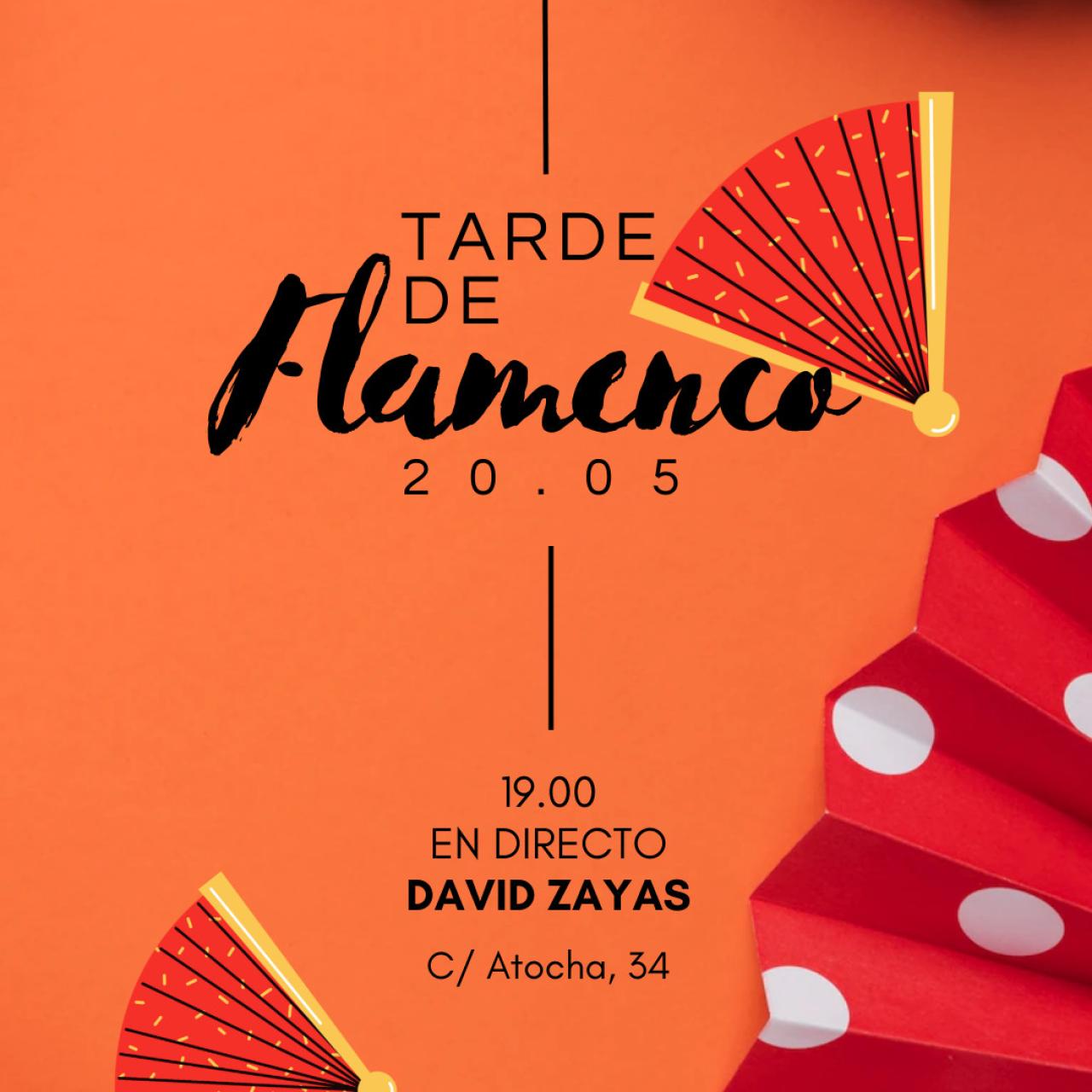 Cartel concierto David Zayas.