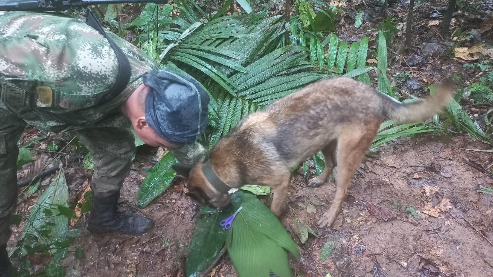 Militares junto a las unidades caninas durante la búsqueda de los niños desaparecidos.