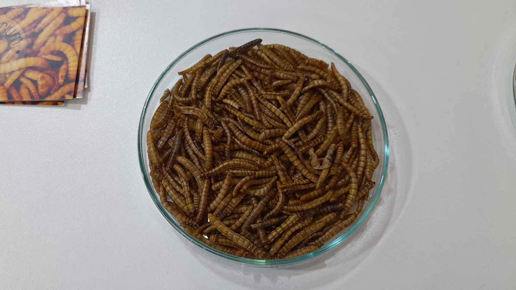 Insectorium transforma, a través del insecto 'Tenebrio molitor', subproductos y residuos de la industria agroalimentaria en productos de alto valor añadido para nutrición animal  y vegetal.