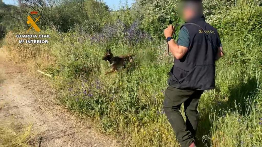 Imagen de archivo de un operativo de búsqueda de la Guardia Civil