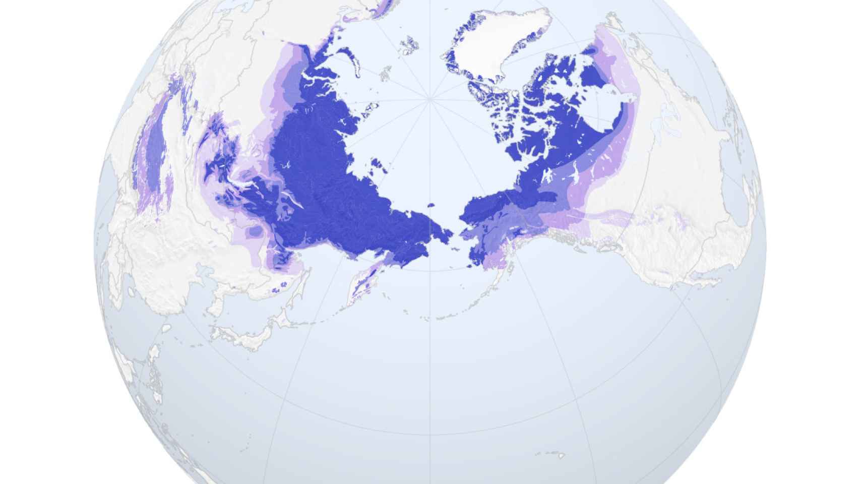 Un mapa del permafrost ártico en 2016 que muestra su estado desde continuo (morado oscuro) hasta aislado (morado más claro).