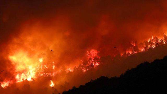 Incendio en Pinofranqueado (Cáceres)