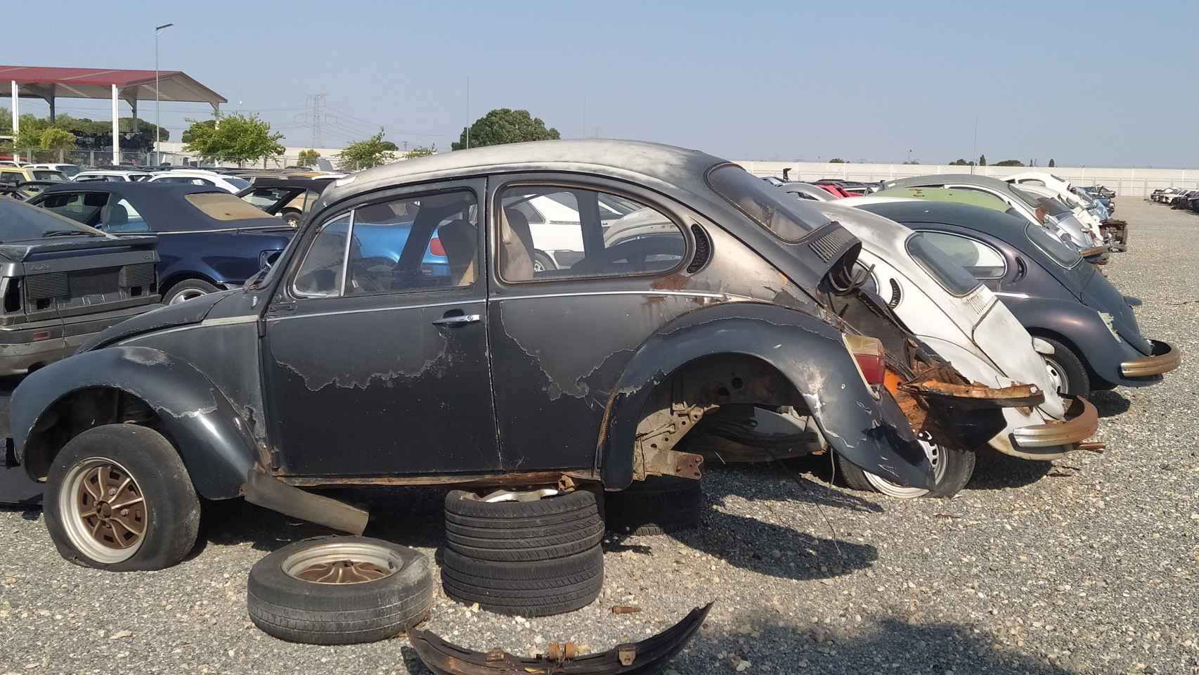 Un curioso Volkswagen Beetle dentro de la campa del desguace.