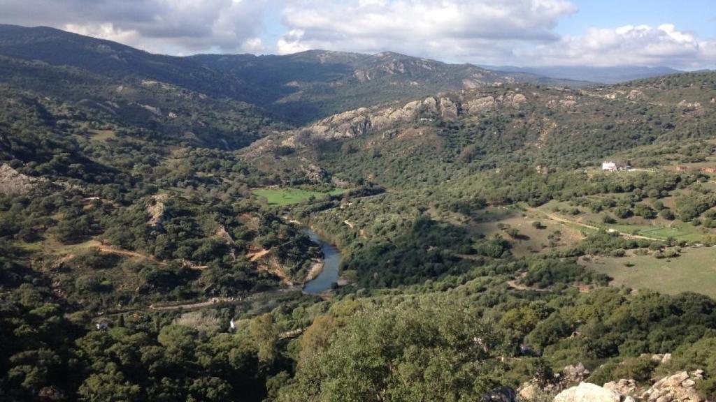 Parque Natural de Los Alcornocales, en la provincia de Cádiz.