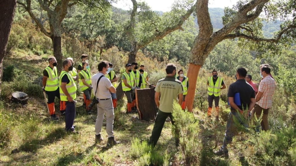 Formación de corcheros en el Parque de Los Alcornocales.