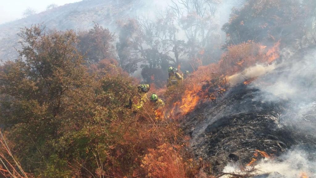 Incendio forestal en Polopos, en Granada, ya extinguido, después de calcinar alcornocales.