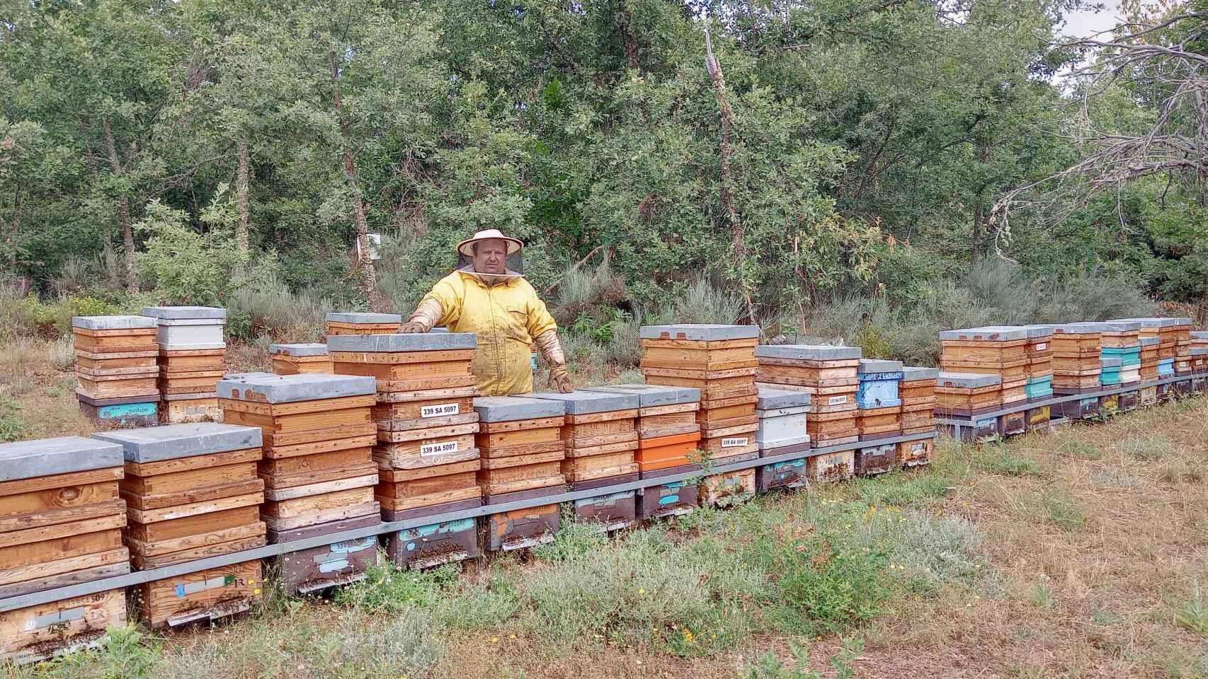 Iván del Río, apicultor de Madrid Miel, en sus colmenas del norte de España.