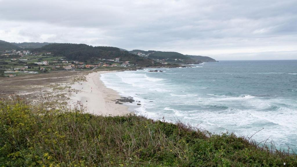 Arteixo, santuario de los perros de A Coruña: pueden ir a la playa entre las 22:00 y las 10:00