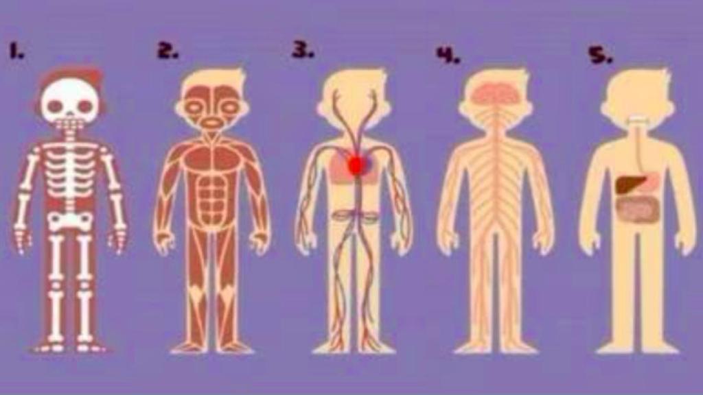 ¿Con qué parte del cuerpo te identificas más?