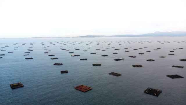 Bateas en la Ría de Arousa.