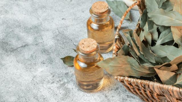 Botes con infusión de laurel. Foto: iStock.