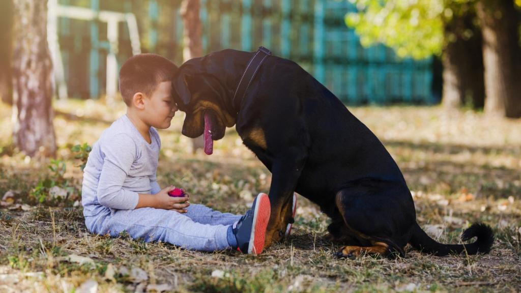 La raza de perros más agresiva, según un estudio (y no está catalogada como PPP en España)