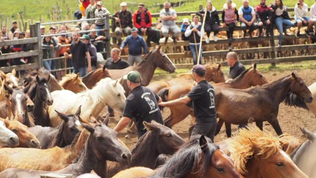 ‘Besteiros’ y caballos en el curro