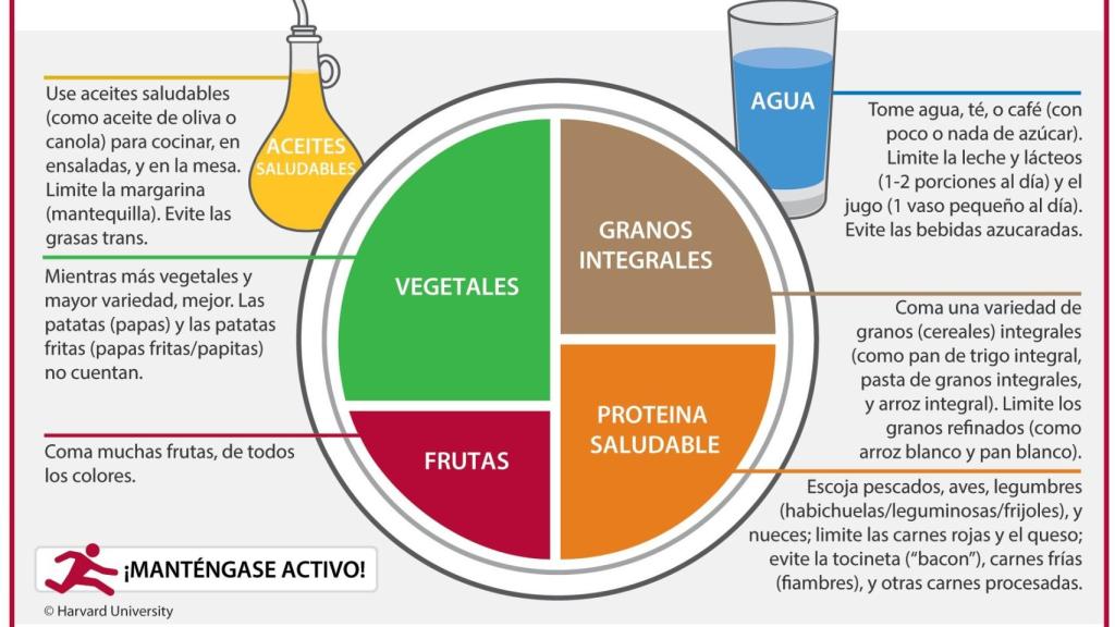 El 'plato Harvard' para incluir en tus comidas y cenas saludables