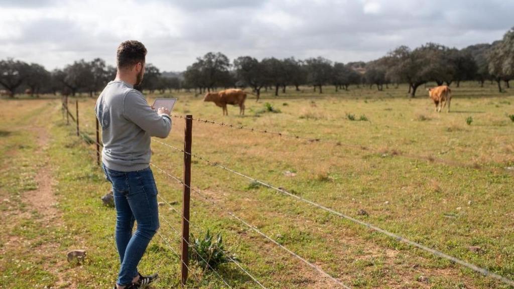 Ventum desarrolla soluciones de ganadería digital para aumentar la productividad, optimizar procesos, mejorar la sostenibilidad, el bienestar animal y hacer más llevadero el día a día en el campo.