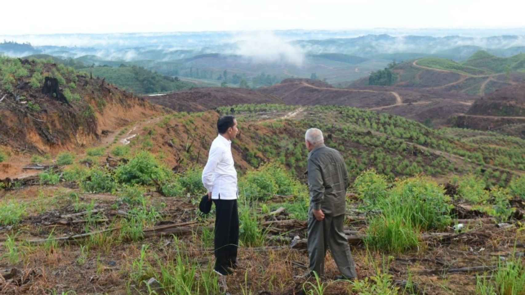 El presidente Joko Widodo junto con el gobernador de Kalimantan Oriental, Isran Noor, visitando la ubicación de Nusantara.