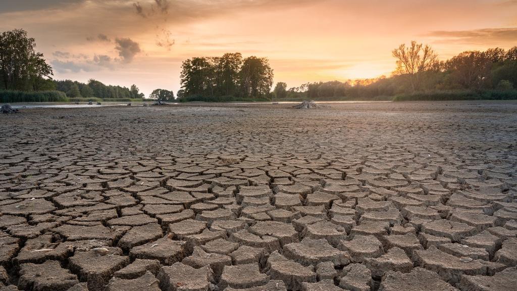 Terreno afectado por la sequía.