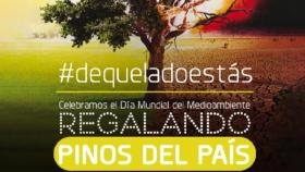 Odeón (Narón) celebra el Día Mundial del Medioambiente regalando pinos