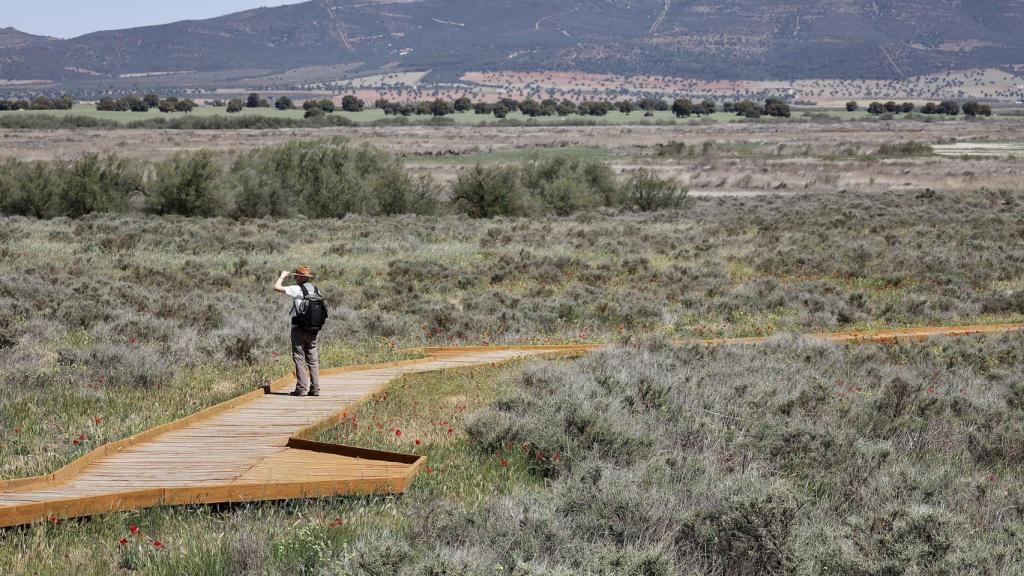 Un turista en las Tablas de Daimiel, a 26 de abril de 2023.