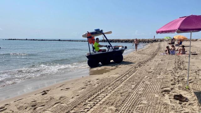 Los socorristas, en su presentación, vaciaron la playa ante el riesgo que provocó el jabalí.