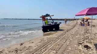 Un jabalí hiere a dos personas en la playa de El Campello y cae abatido a tiros
