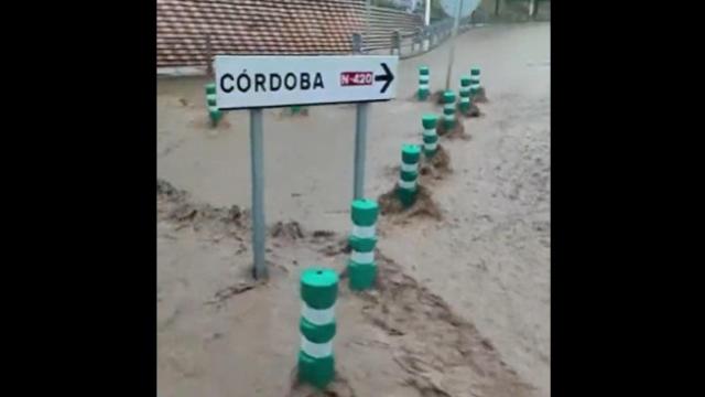 Captura de pantalla de SCIS Ciudad Real.