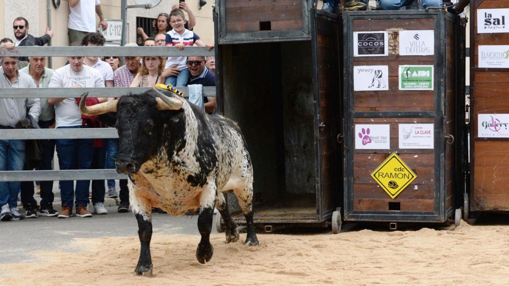 Medina del Campo llena sus calles y plaza de toros a pesar de la lluvia