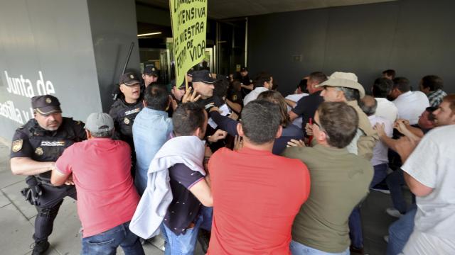 Manifestación de ganaderos en Salamanca