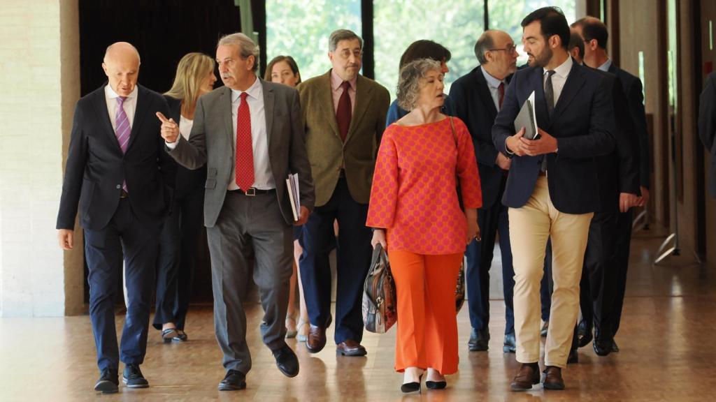 El presidente del Consejo Consultivo, Agustín Sánchez de Vega, a su llegada a su comparecencia de este lunes en las Cortes.