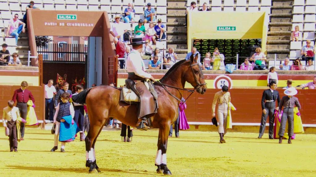 Paseíllo de la clase práctica celebrado ayer en Palencia por su escuela taurina