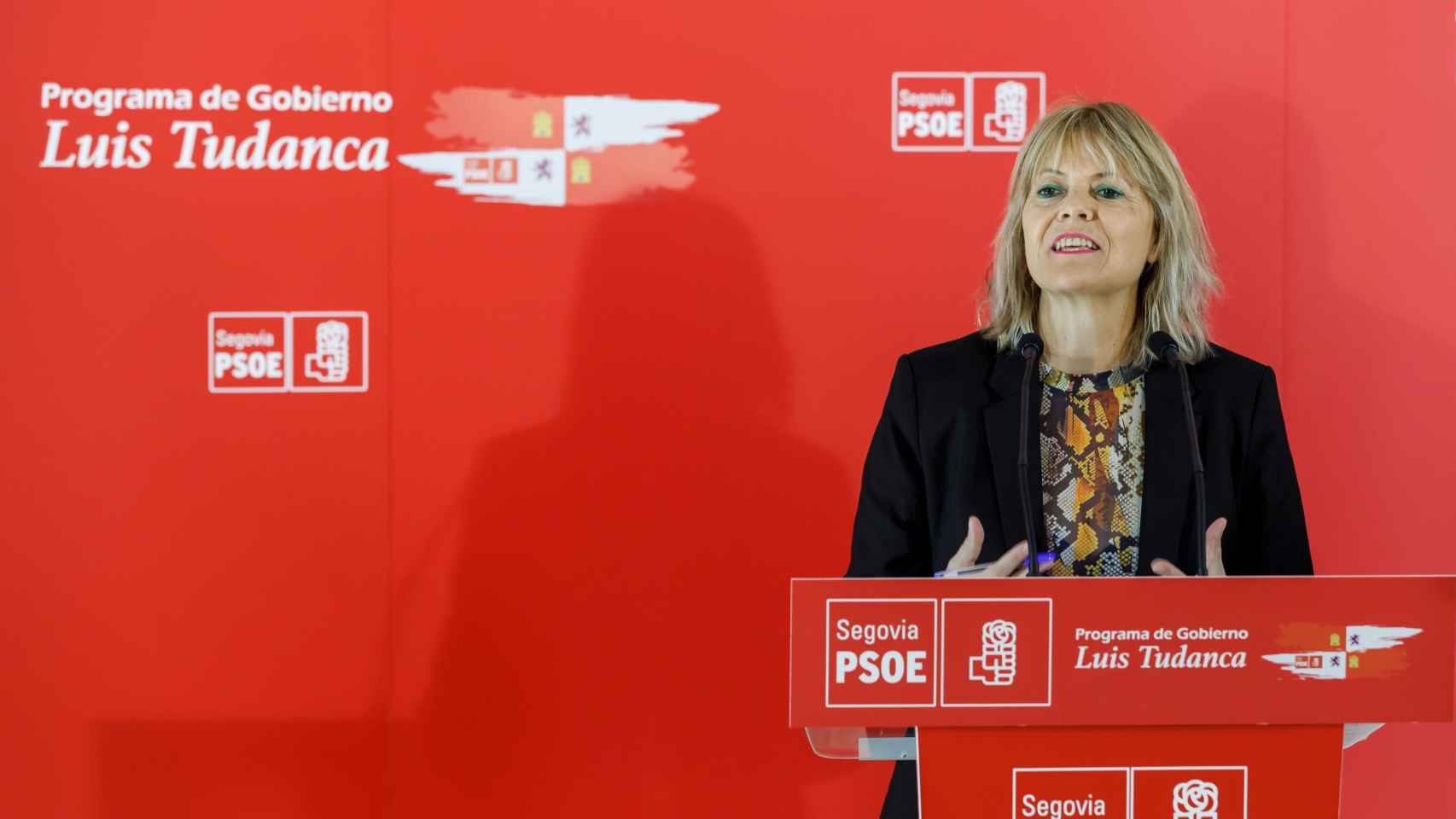 La senadora del PSOE de Segovia Ana Agudíez.