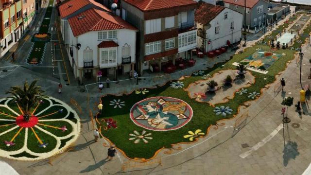 Vista aérea de los tapices de 2022