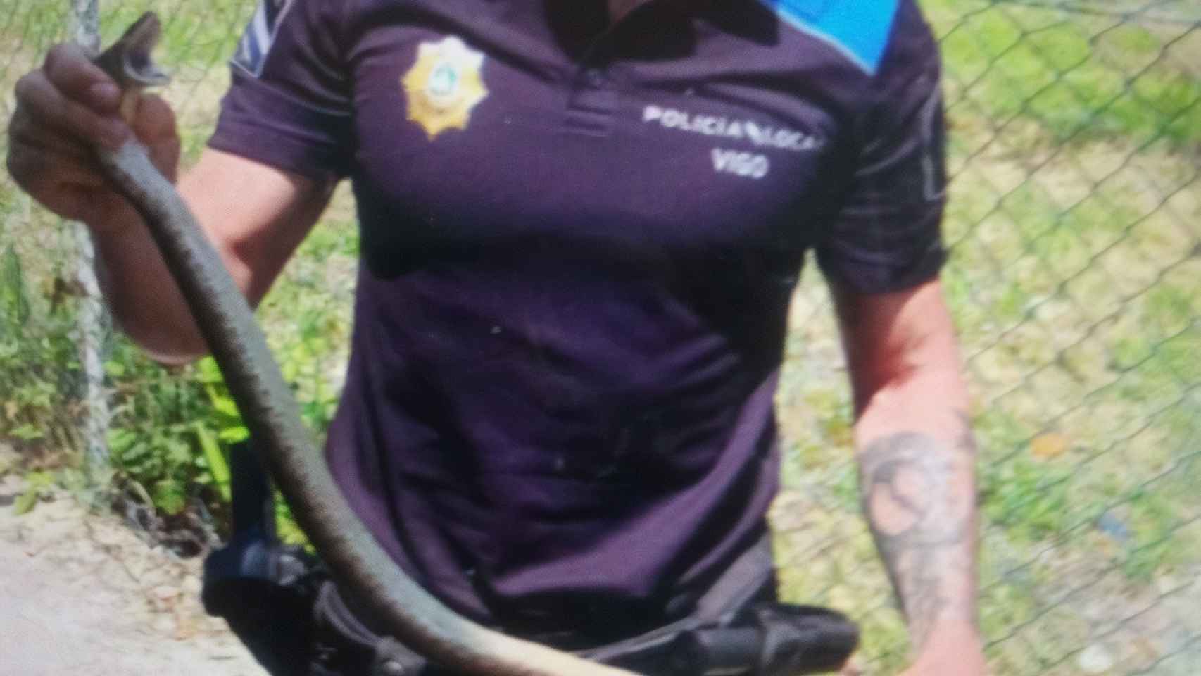 Un agente sostiene en sus manos el ejemplar.