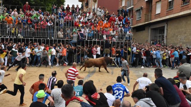 Archivo:  Fiestas del Toro Enmaromado 2023 en Benavente