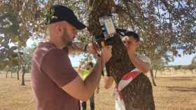 Técnicos del IFAPA instalan sensores en un árbol.