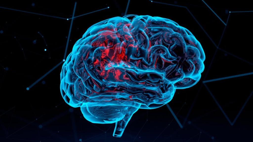 Los países desarrollados experimentan un 'estancamiento' del coeficiente intelectual.