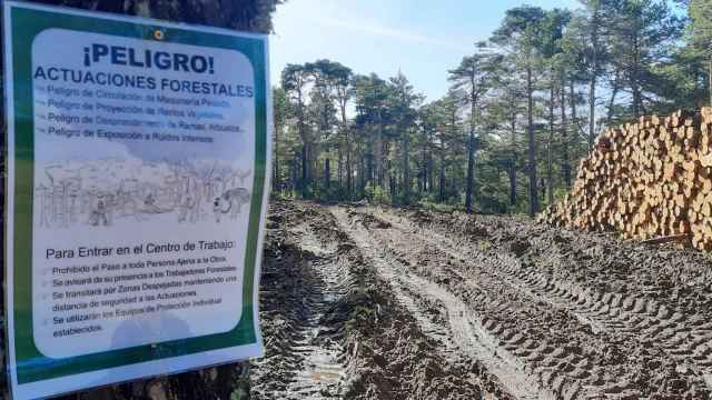 La Dirección General de Ordenación Forestal de Aragón dice que no son talas masivas con maquinaria pesada.