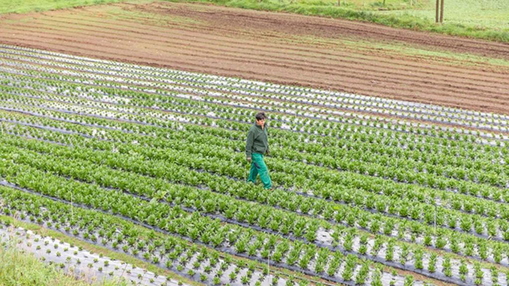 Imagen de archivo de un agricultor