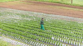 Imagen de archivo de un agricultor