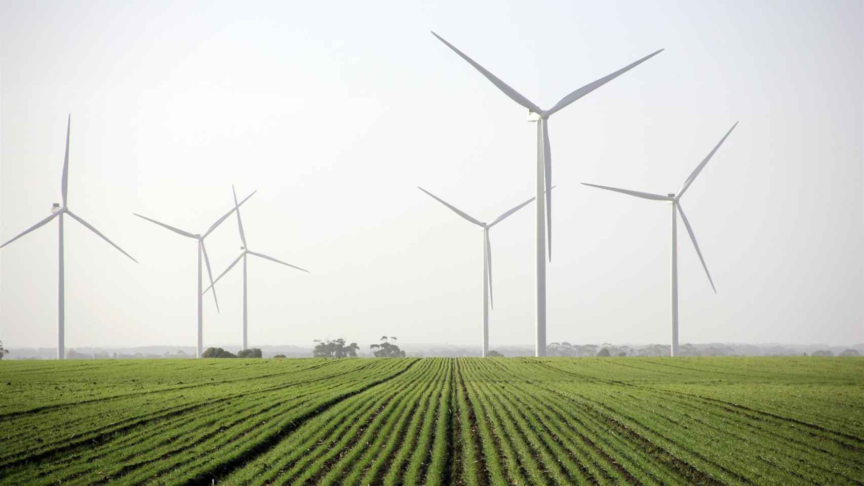Molinos de energía eólica. Foto: Europa Press.