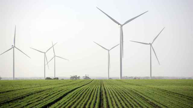 Molinos de energía eólica. Foto: Europa Press.