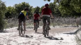 Alta concentración de polen en las riberas del río Tormes en Salamanca