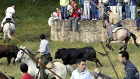 Tradicional  fiesta taurina del Lavalenguas de Soria
