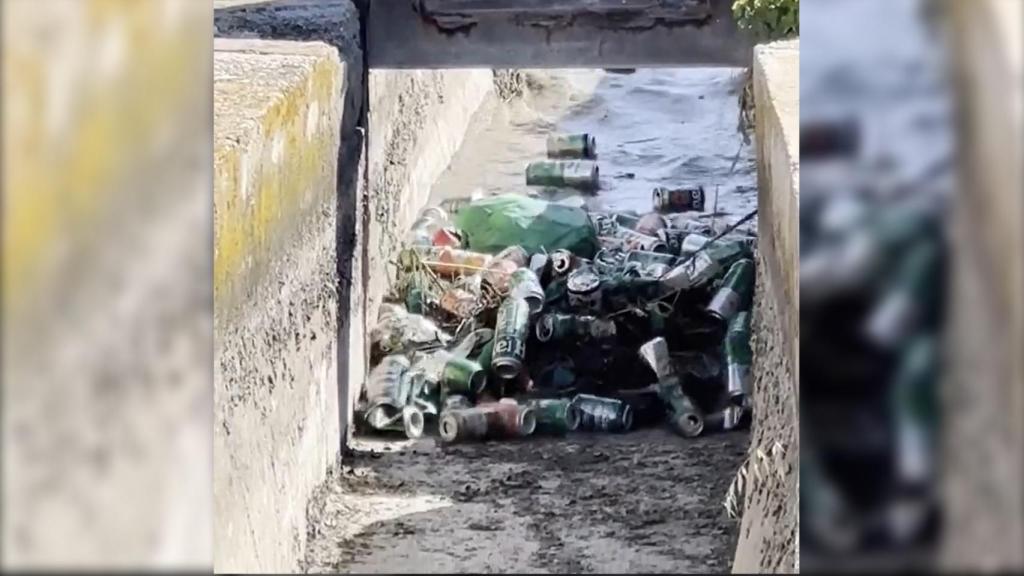 Una captura del vídeo donde se ven las latas de cerveza en una acequia de Callosa de Segura.