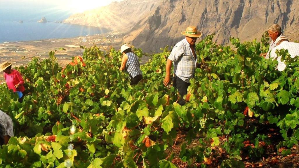 El Hierro, destino de enoturismo