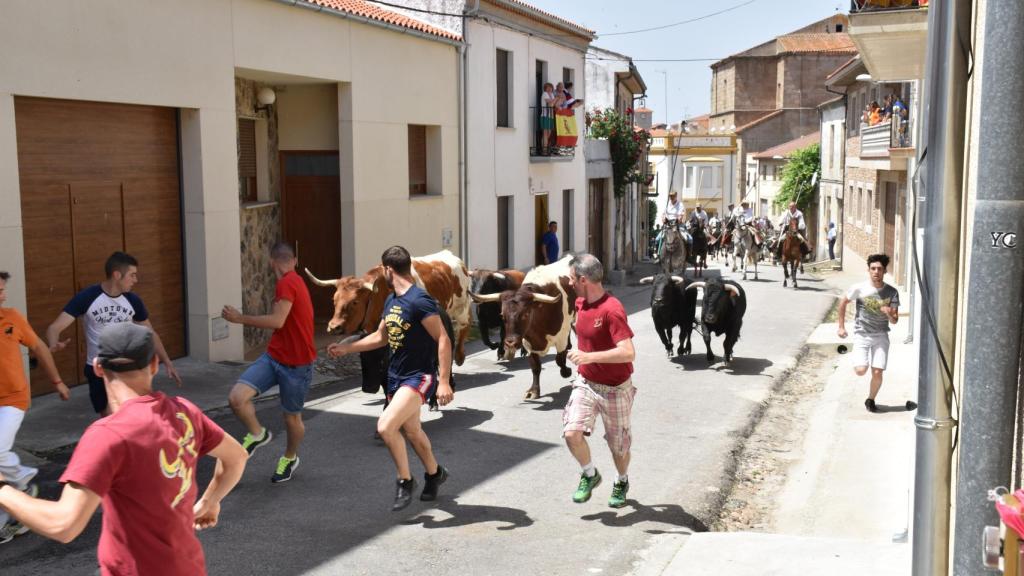 Encierro a caballo en los 'sanjuanes' de Hinojosa de Duero