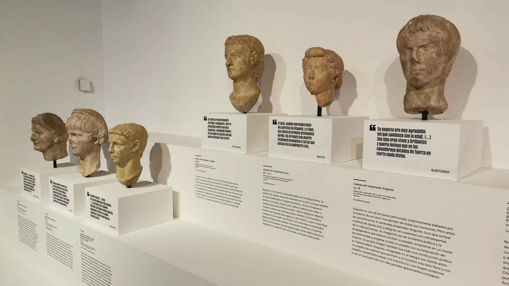 Sala de la exposición donde se muestran bustos de personajes de la antigua Roma. Foto: F. D. Q.
